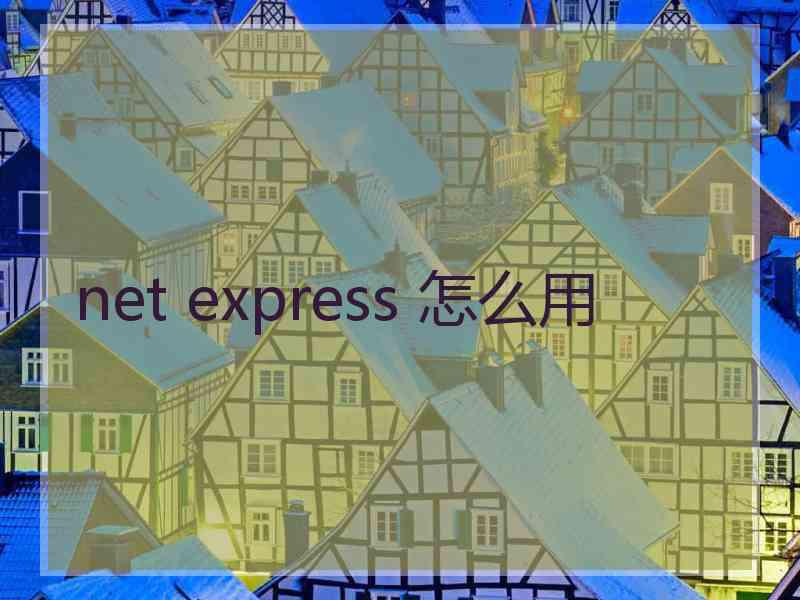 net express 怎么用