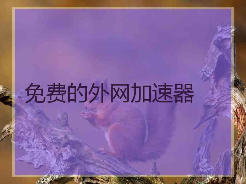 免费的外网加速器