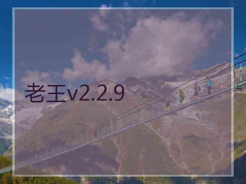 老王v2.2.9