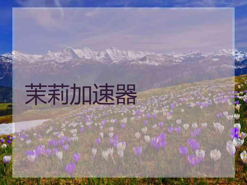 茉莉加速器