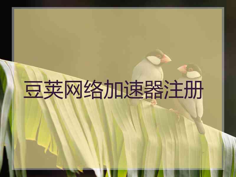 豆荚网络加速器注册