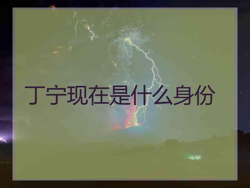 丁宁现在是什么身份