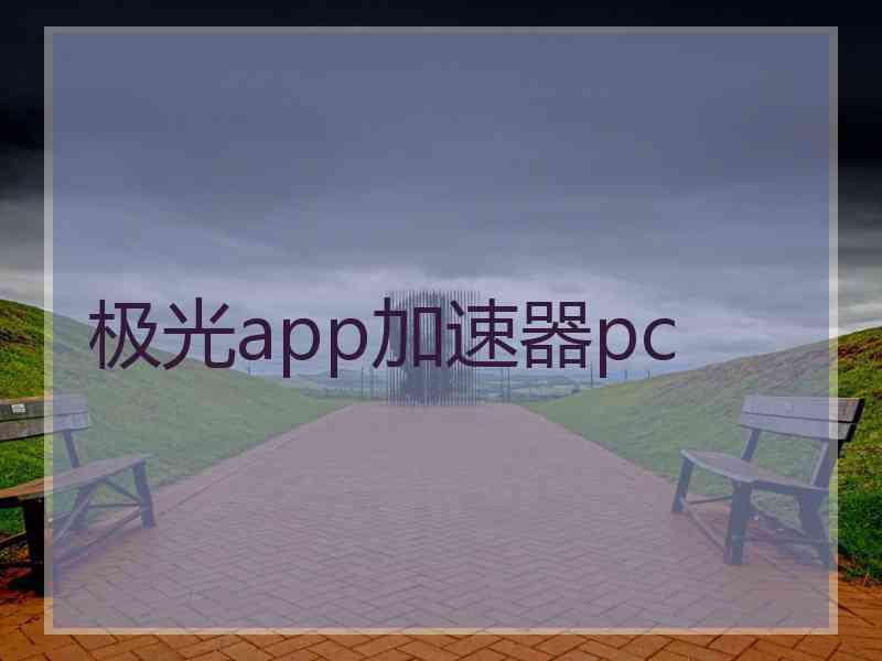 极光app加速器pc