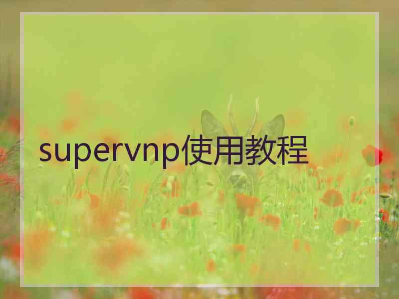 supervnp使用教程