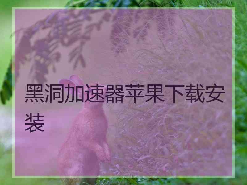 黑洞加速器苹果下载安装