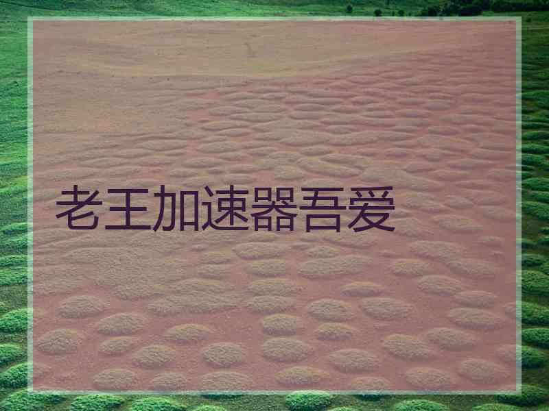 老王加速器吾爱