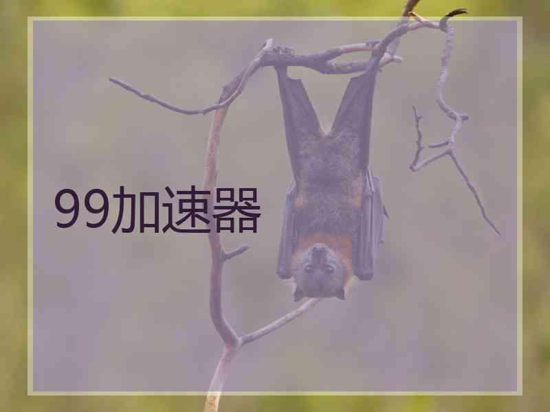 99加速器