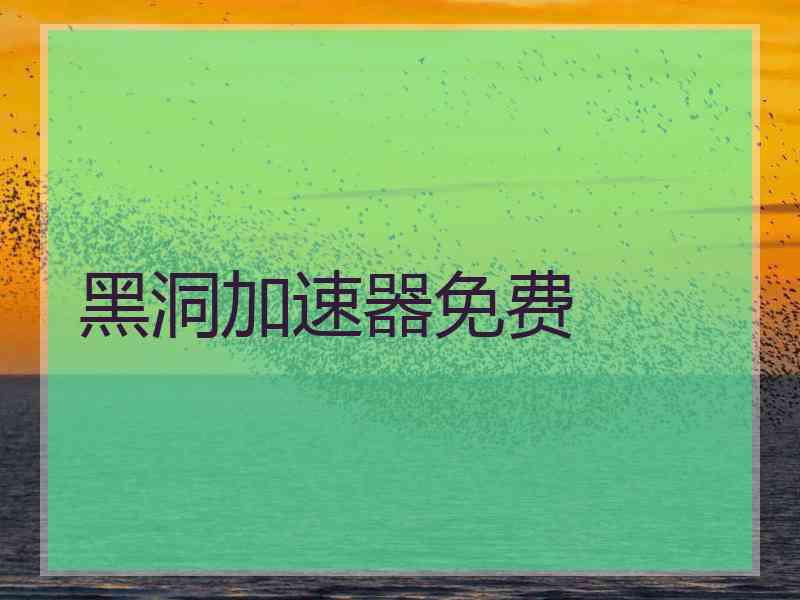 黑洞加速器免费