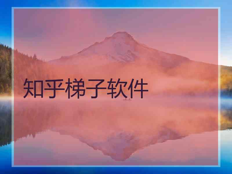 知乎梯子软件