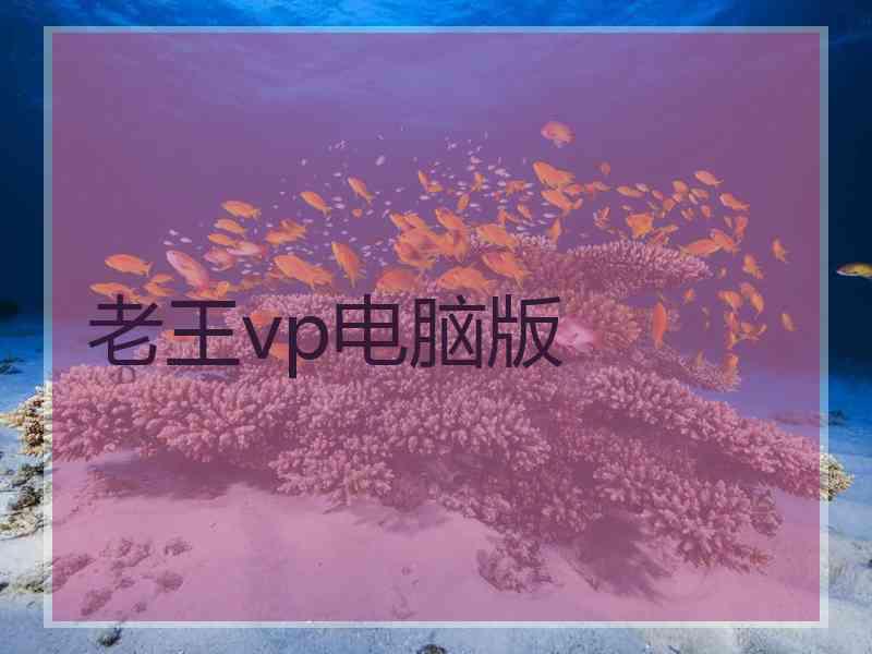 老王vp电脑版