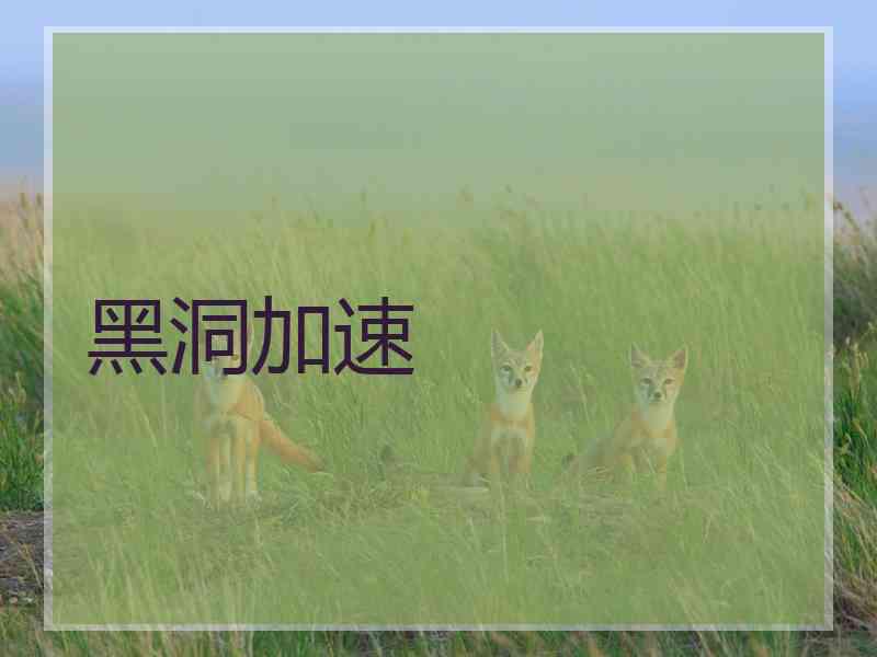 黑洞加速