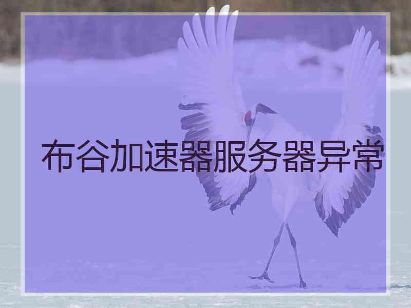 布谷加速器服务器异常