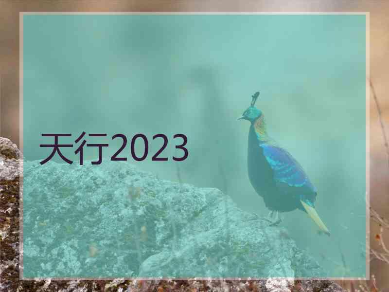 天行2023
