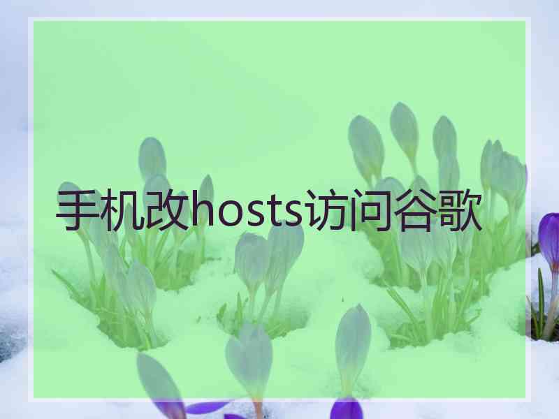 手机改hosts访问谷歌