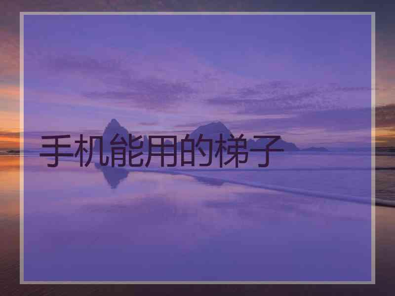 手机能用的梯子
