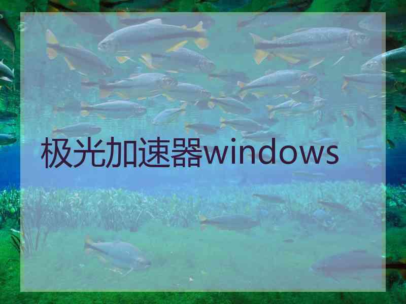 极光加速器windows