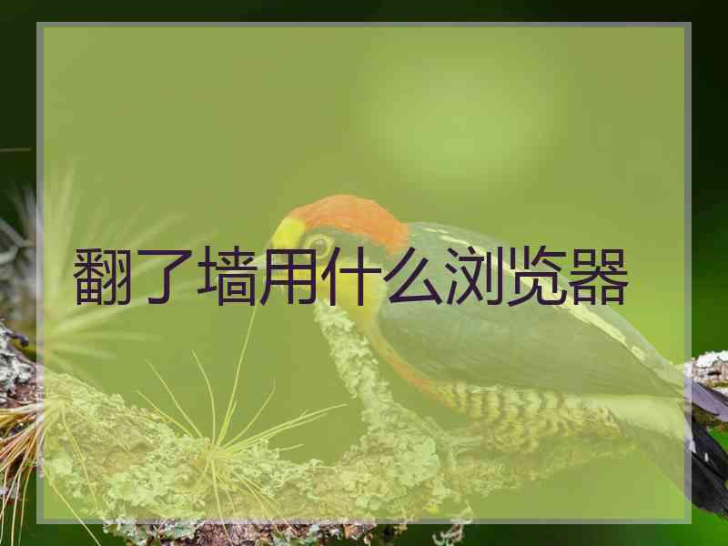 翻了墙用什么浏览器