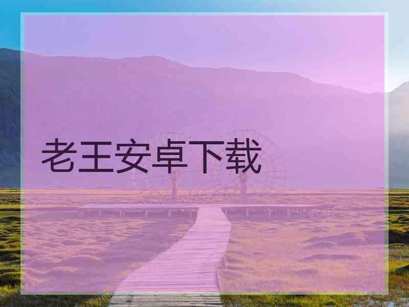 老王安卓下载