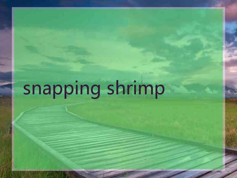 snapping shrimp