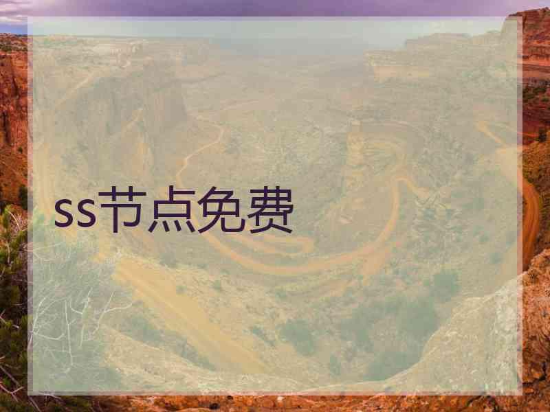 ss节点免费