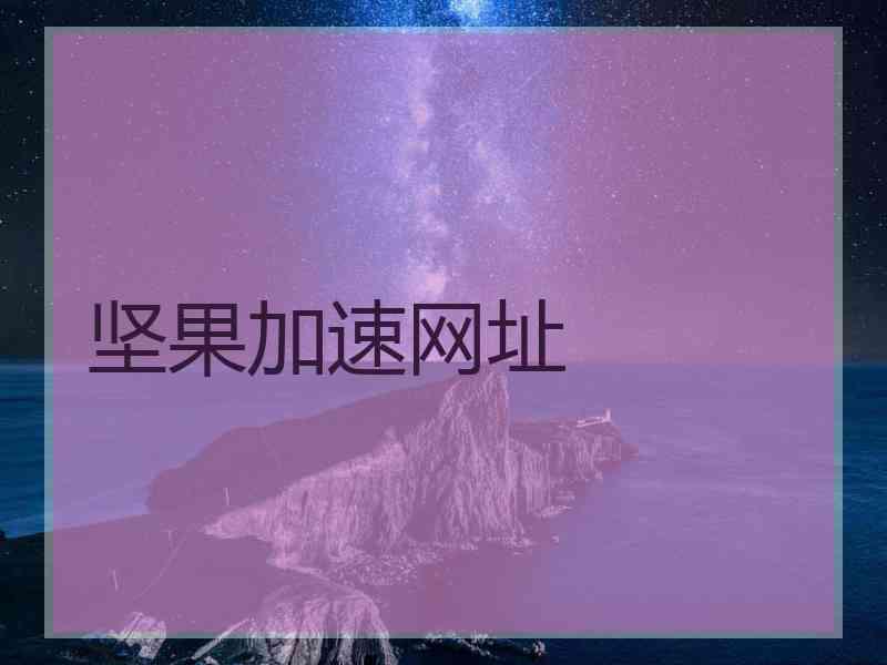 坚果加速网址