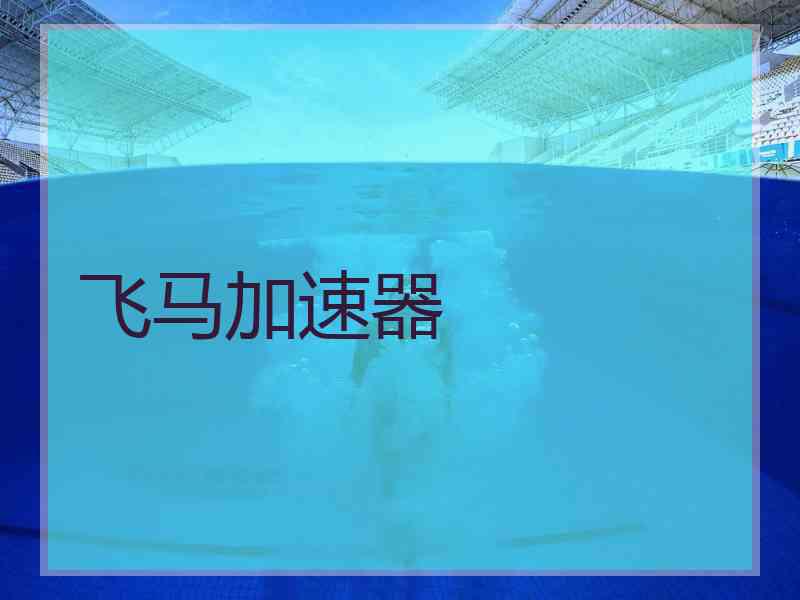 飞马加速器