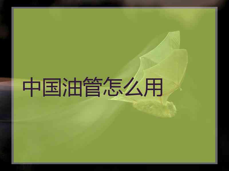 中国油管怎么用