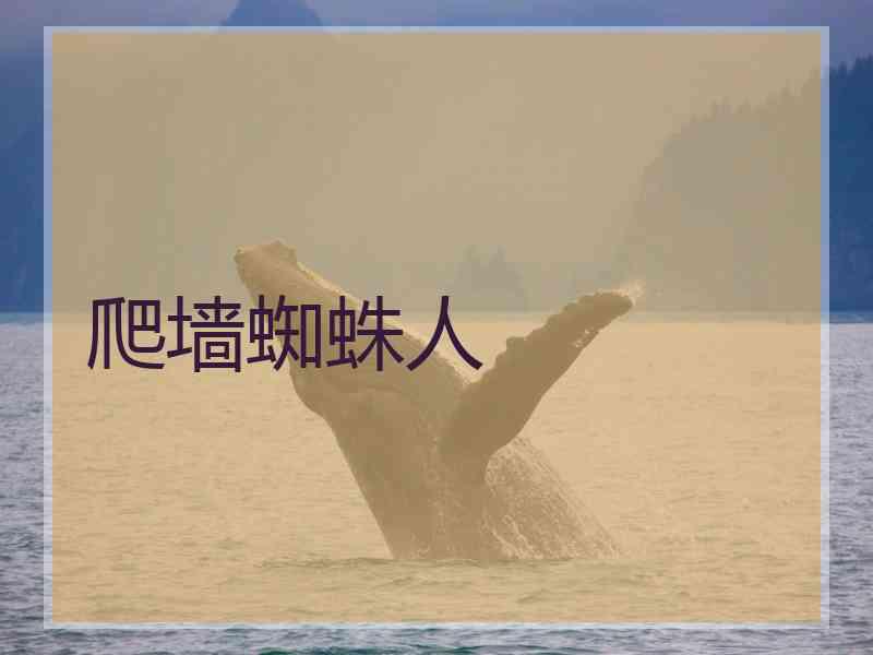 爬墙蜘蛛人