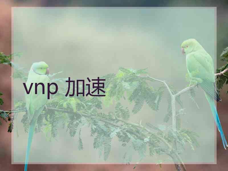 vnp 加速