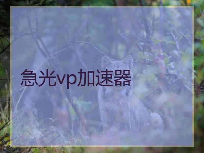 急光vp加速器
