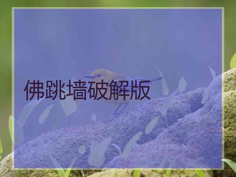 佛跳墙破解版