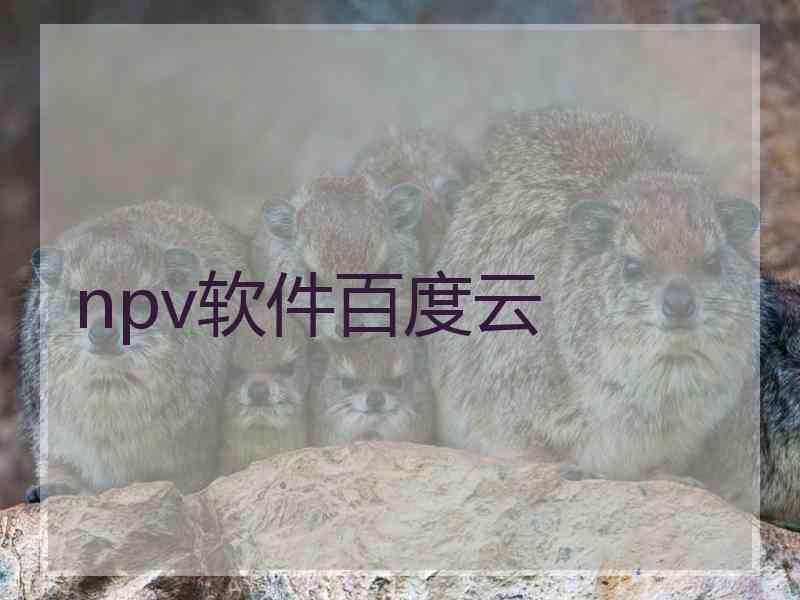 npv软件百度云