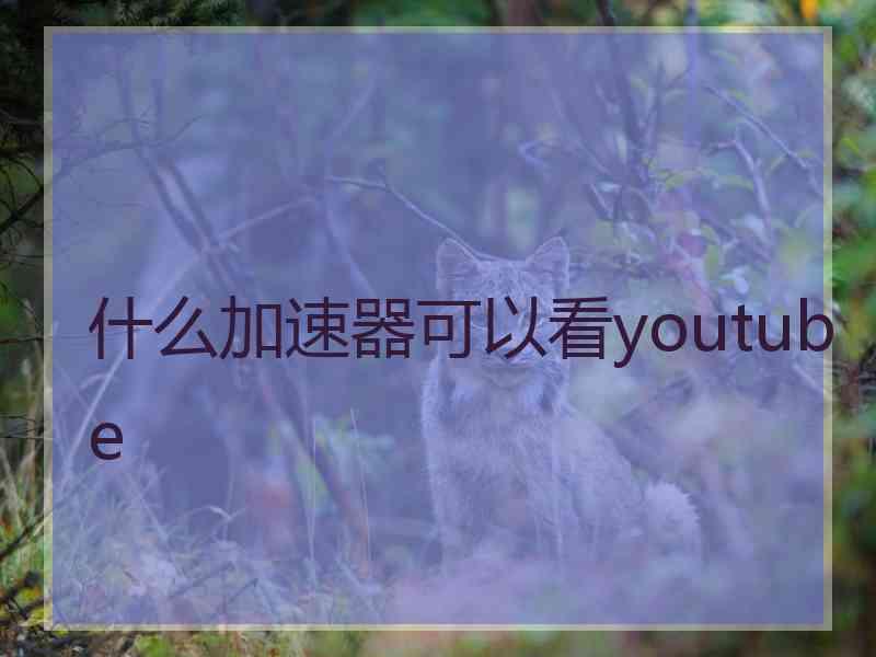 什么加速器可以看youtube