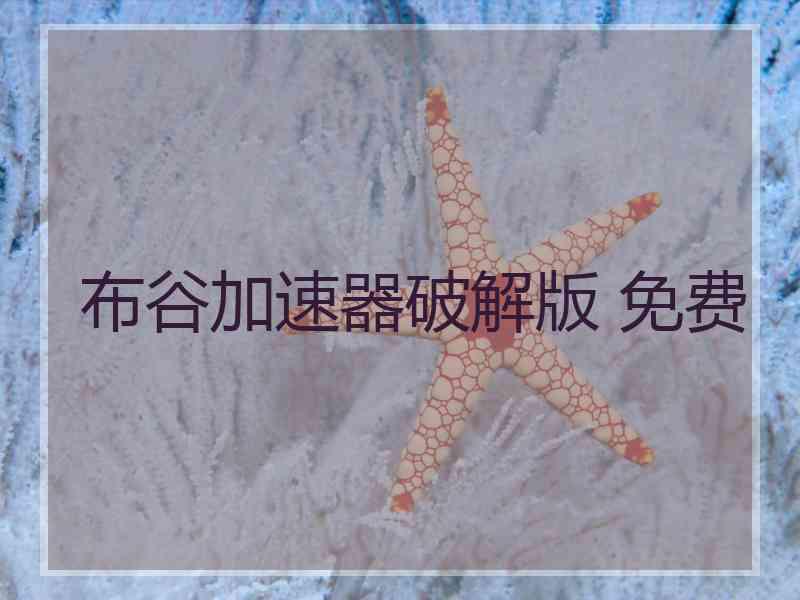布谷加速器破解版 免费