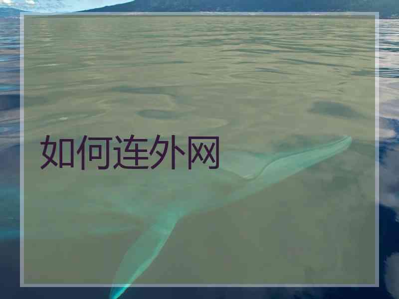 如何连外网