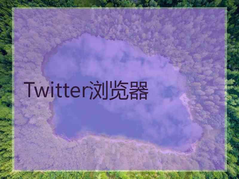 Twitter浏览器