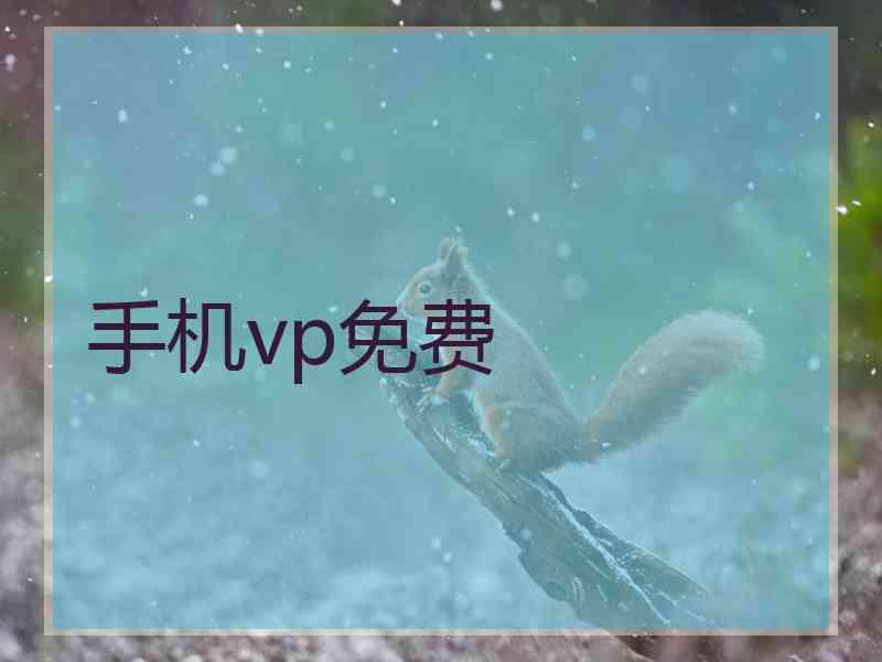 手机vp免费