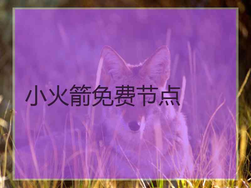 小火箭免费节点