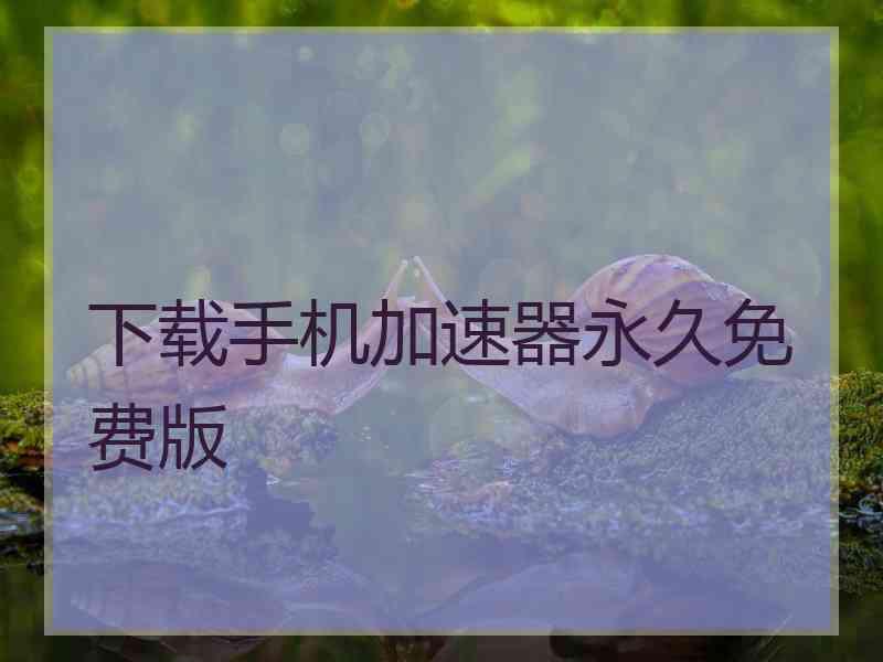 下载手机加速器永久免费版