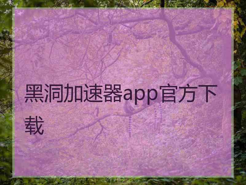 黑洞加速器app官方下载