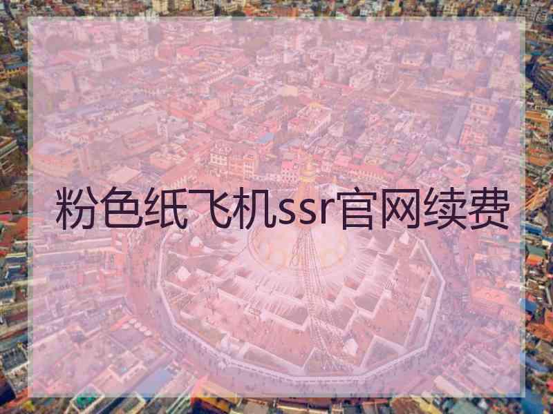 粉色纸飞机ssr官网续费