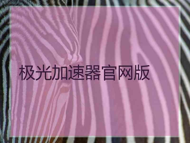 极光加速器官网版