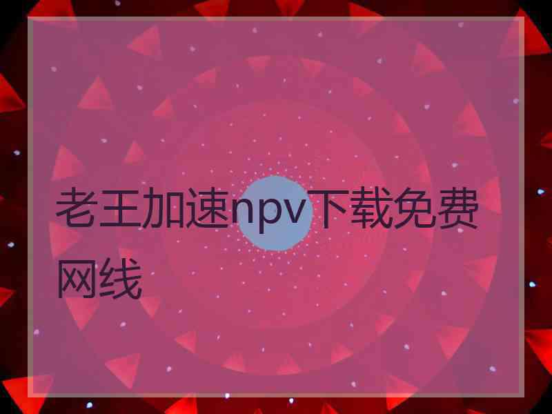 老王加速npv下载免费网线