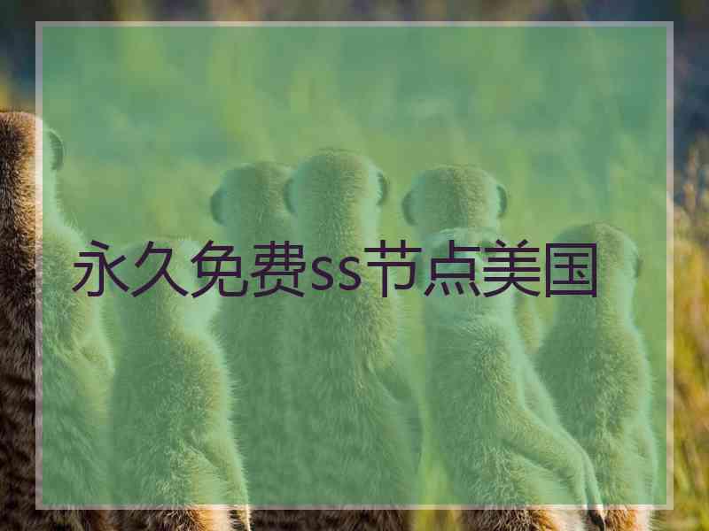 永久免费ss节点美国