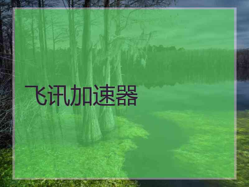 飞讯加速器