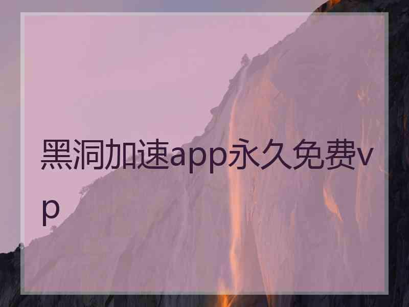 黑洞加速app永久免费vp