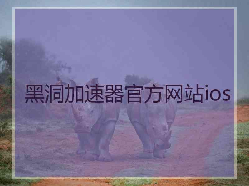黑洞加速器官方网站ios