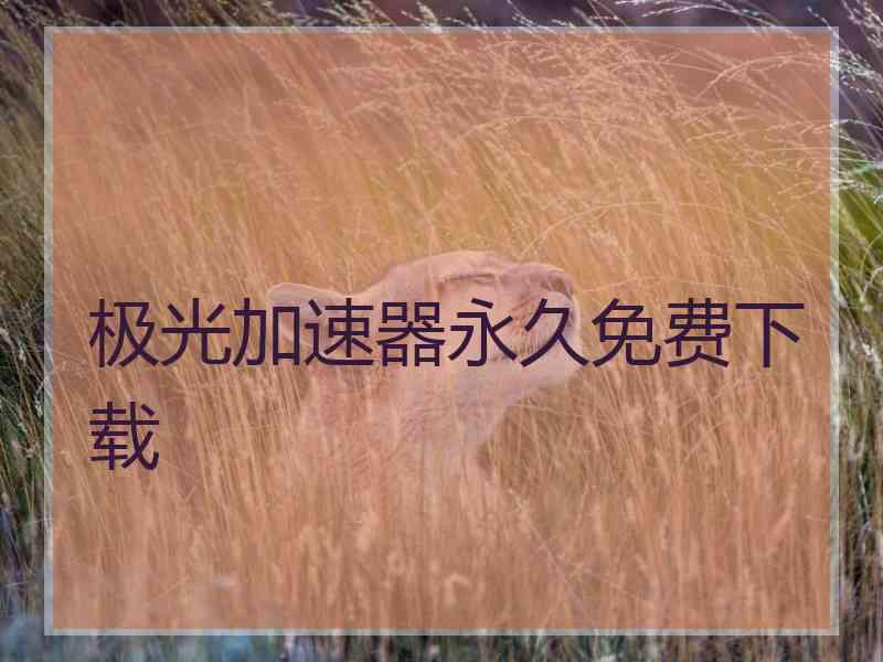 极光加速器永久免费下载