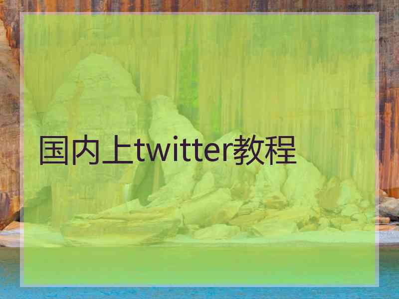 国内上twitter教程