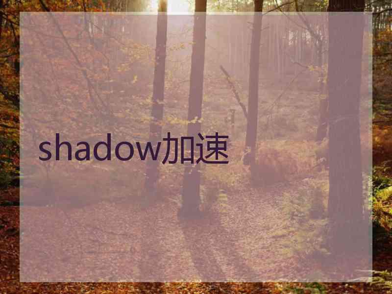 shadow加速
